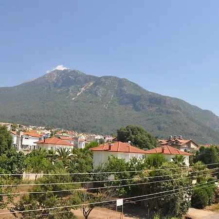Mountain View Vila