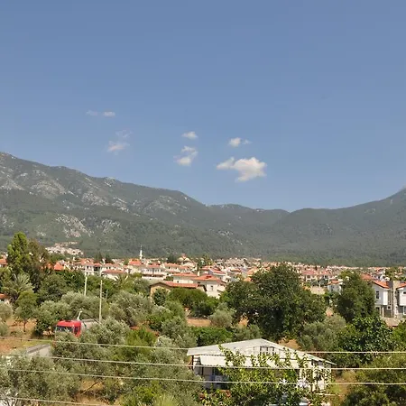 Mountain View *