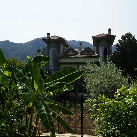 Mountain View * 马尔马里斯